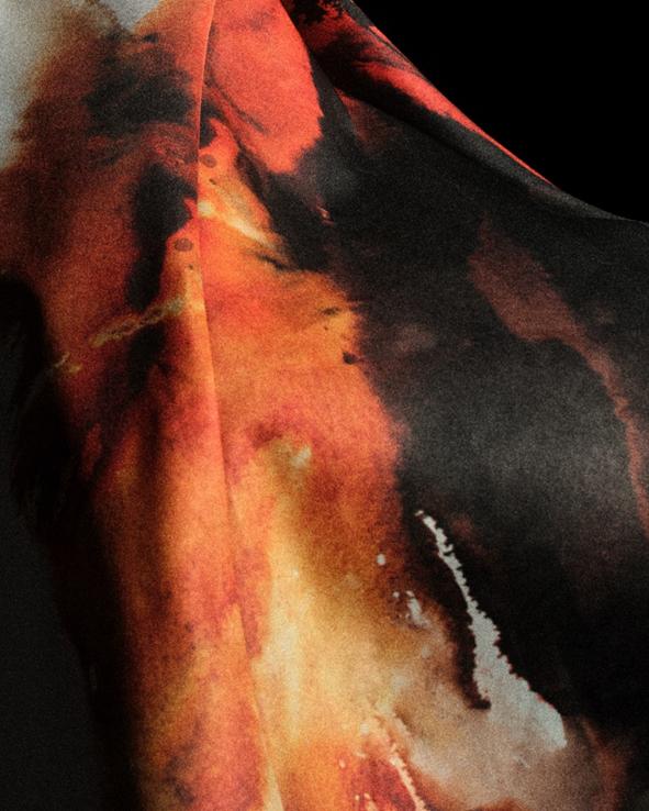 迎来新的契 迎来新的契